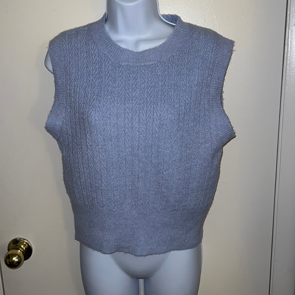🌹Pink Rose baby blue pullover sweater vest.